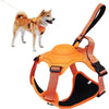 Dog harness and retractable leash all-in-one.