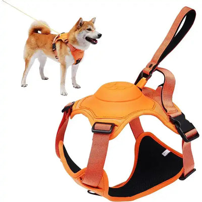 Dog harness and retractable leash all-in-one.