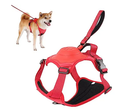 Dog harness and retractable leash all-in-one.